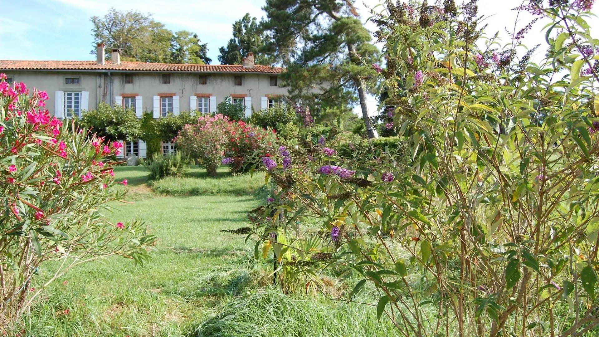 Ma Maison Sur La Colline Escosse